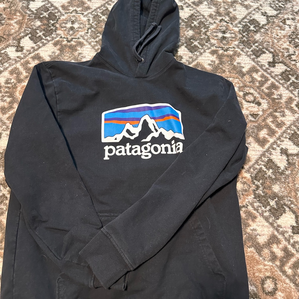 Men’s Patagonia Hoodie